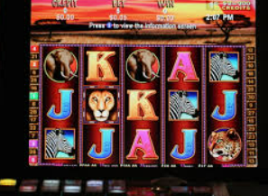 彩神VIl彩票正式版